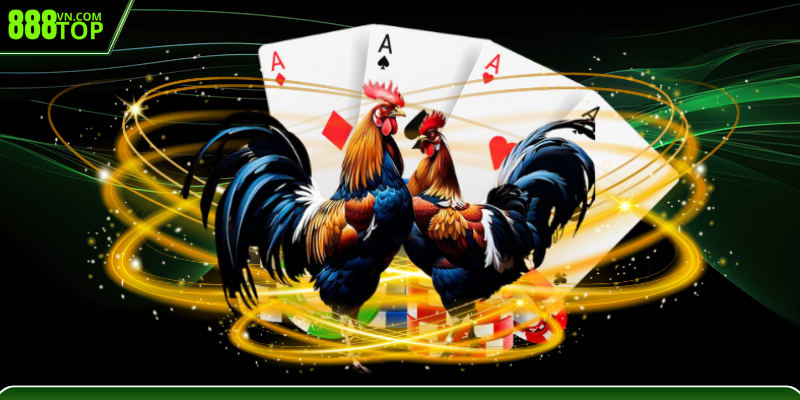 Các trận đấu có lượng cao, công bằng 