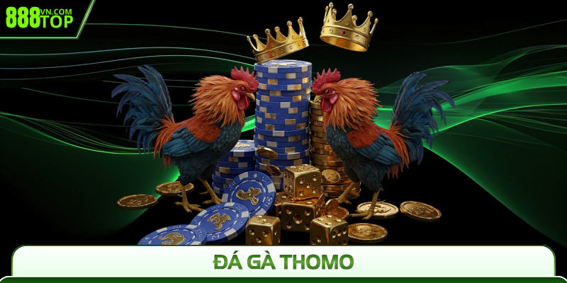 Đá Gà Thomo 888Top - Trực Tiếp Gay Cấn, Cược Cực Đỉnh
