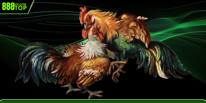 Lợi thế khi xem đá gà trực tiếp c1 c2